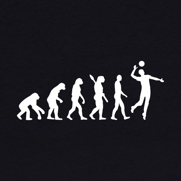 Evolution Volleyball by Designzz